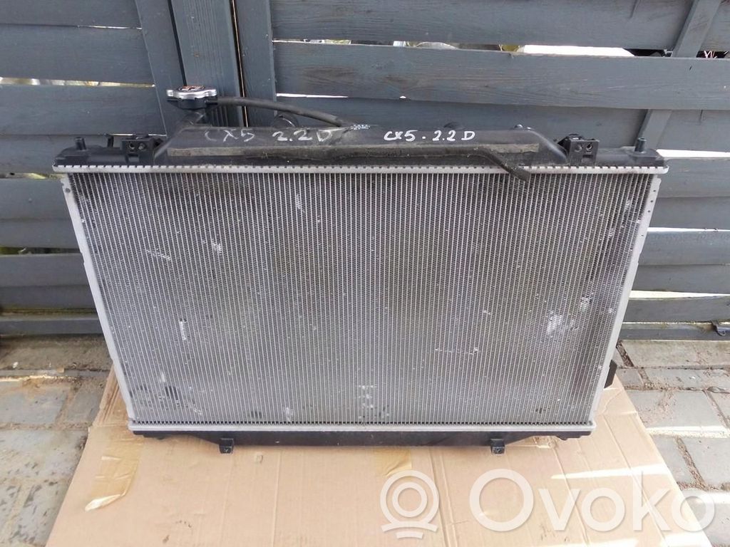 Coolant radiator   2220009265