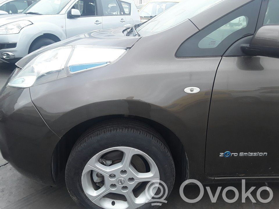 Nissan Leaf I (ZE0) Aripă 