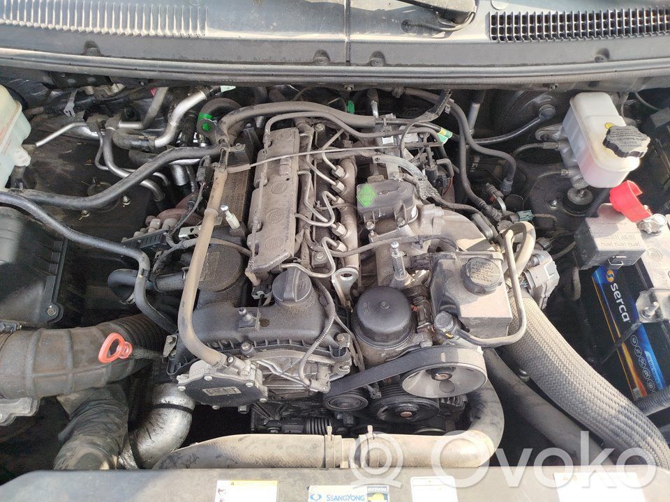 SsangYong Rodius Alte dispozitive 