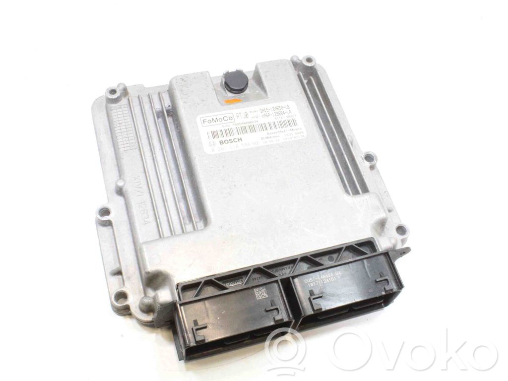 Ford Fiesta Engine control unit/module 