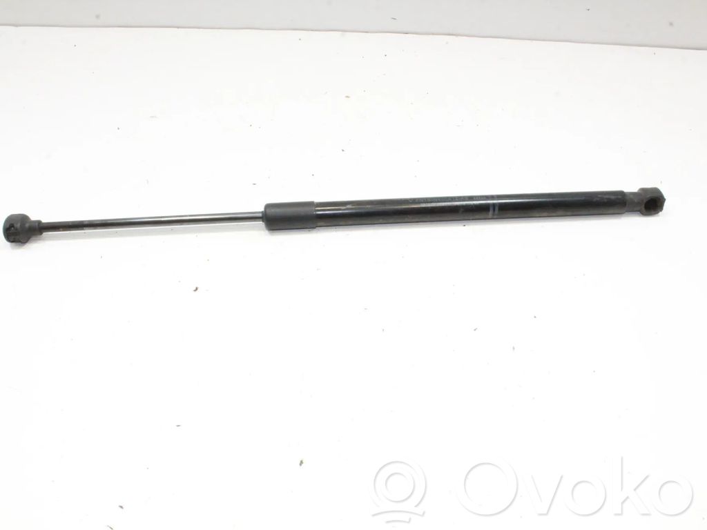 Tailgate/trunk strut/damper   FN1BN400A12AB