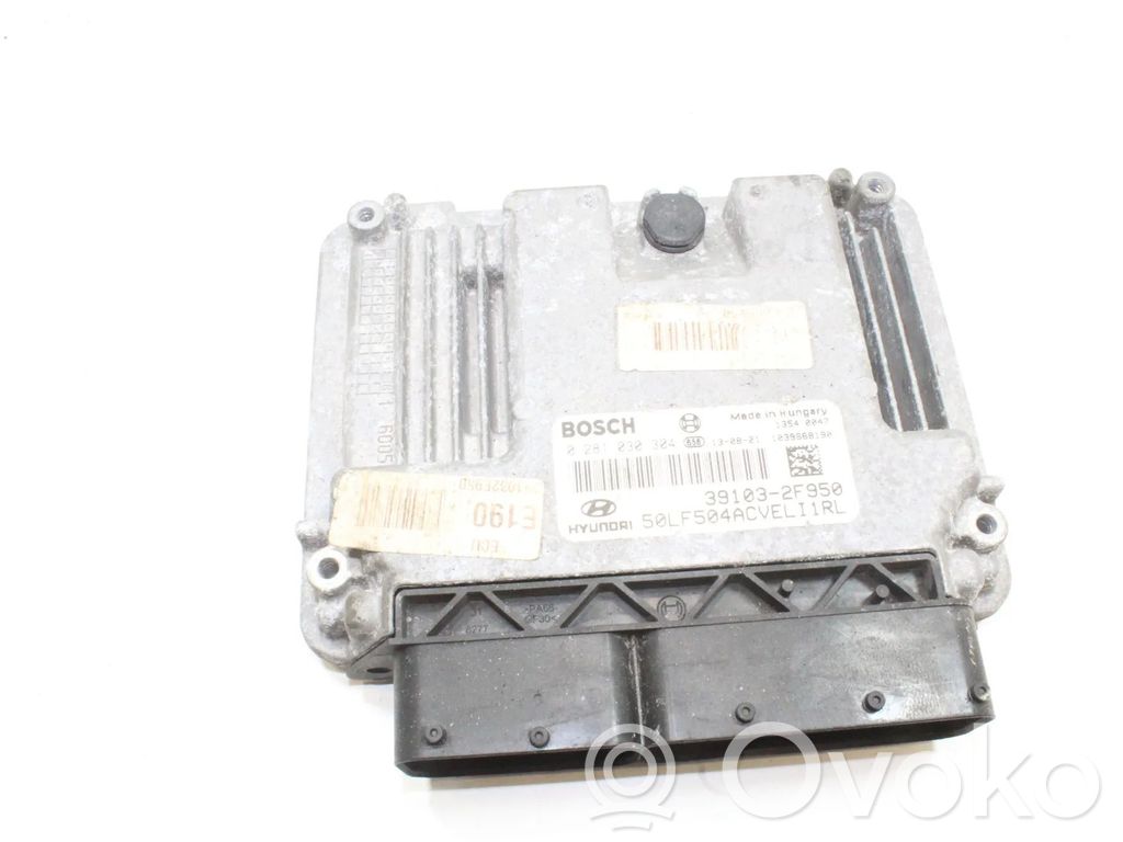 Engine control unit/module   391032F950,0281030304