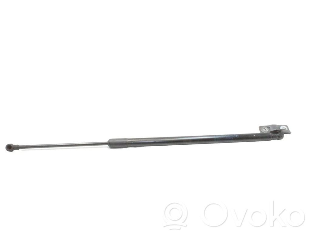 Tailgate/trunk strut/damper   3420572