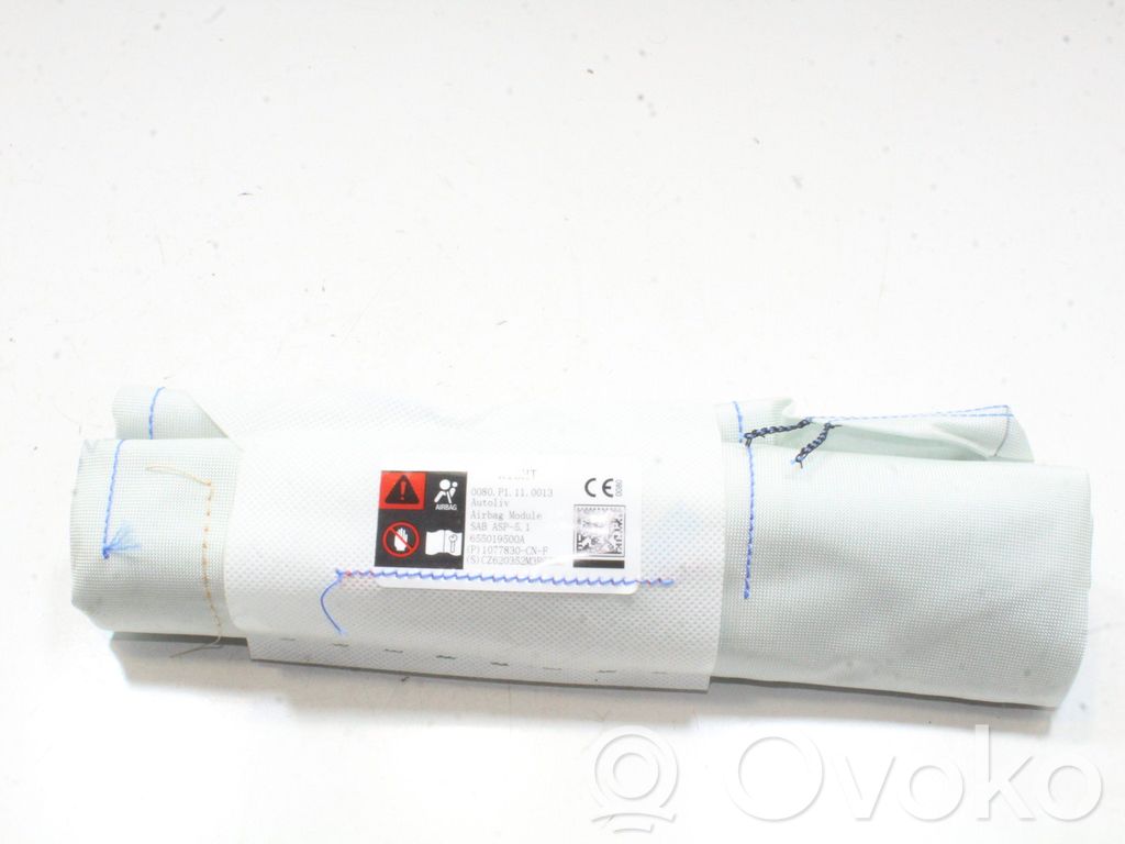 Airbag del asiento   1077830CNF