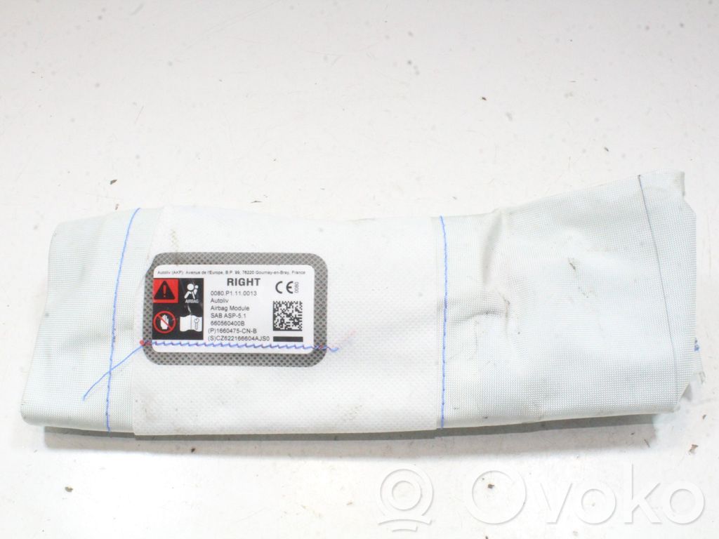 Sitz-Airbag   1660475CNB