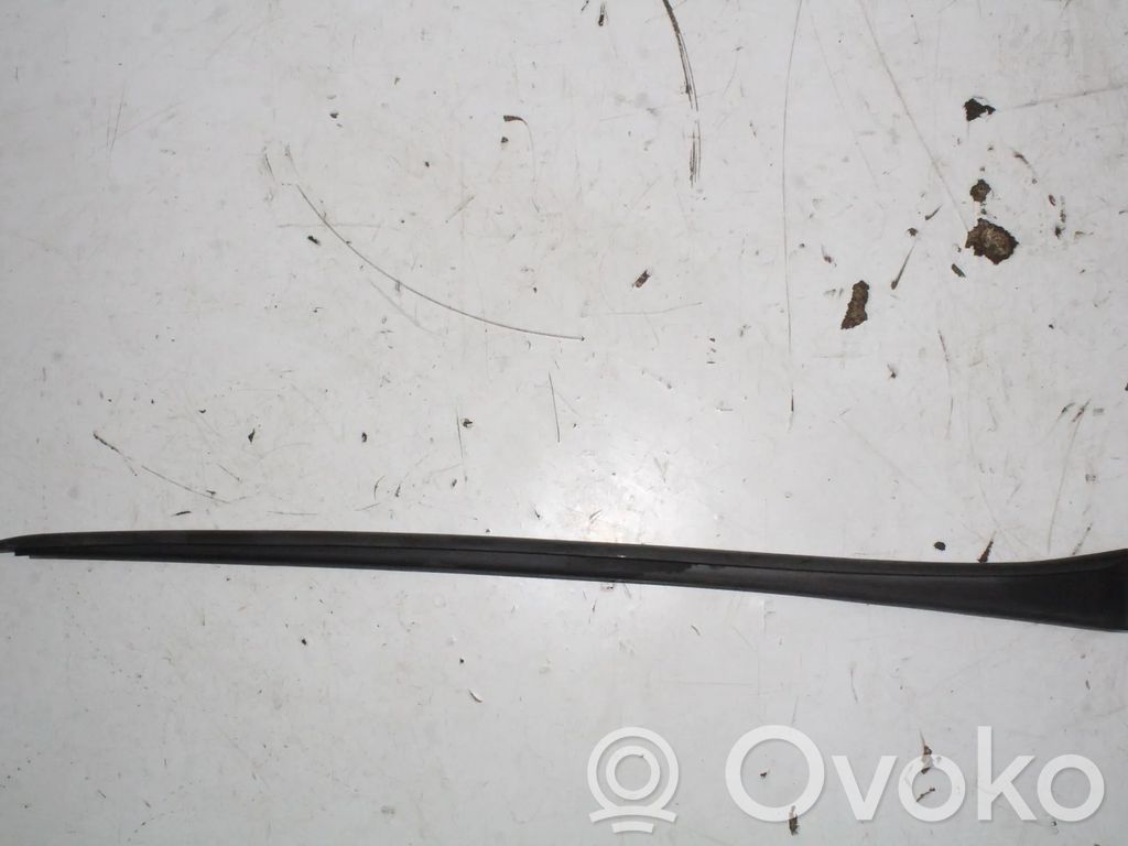 Cupra Formentor Windshield trim 