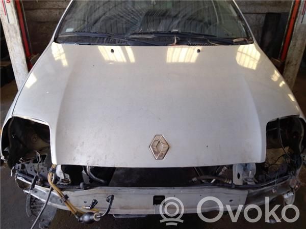 Engine bonnet/hood