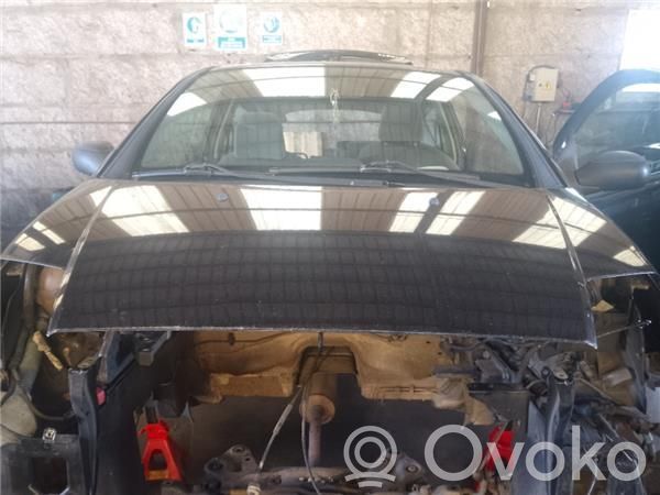 Motorhaube   7901K2,L01946