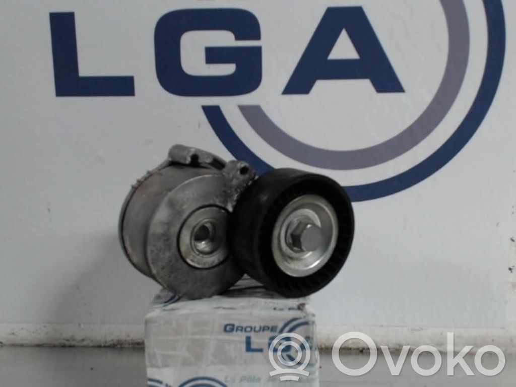 Peugeot 406 Tensor de correa del alternador 