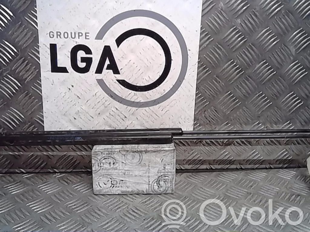 Renault Wind Tailgate/trunk strut/damper 