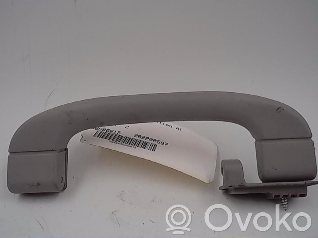 Etukattokahva   51169143518