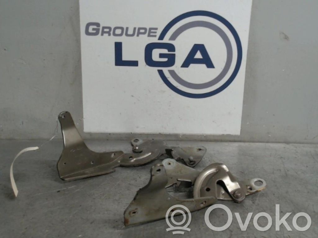 Renault Espace IV Engine bonnet/hood hinges 