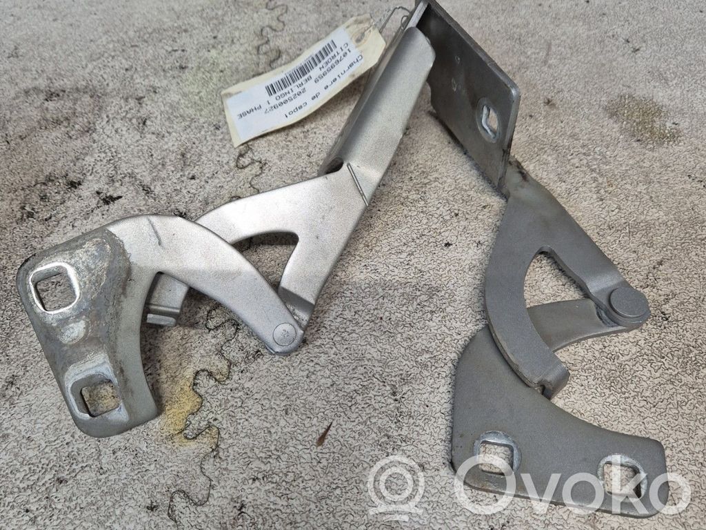 Citroen Berlingo Balamale capotă 