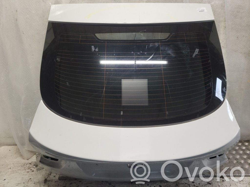 BMW X6 E71 Galinis dangtis (bagažinės) 