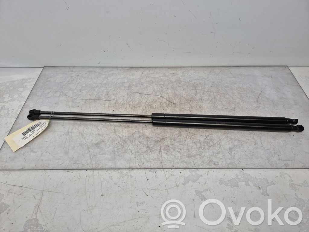 Nissan Juke I F15 Ammortizzatore portellone posteriore/bagagliaio 
