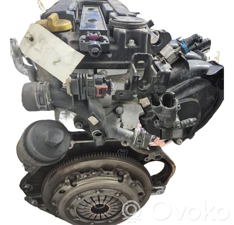 Variklis   55598550