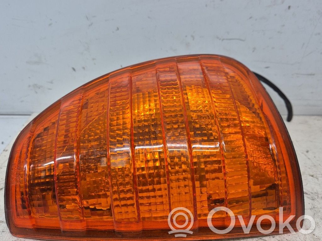 Seitenblinker