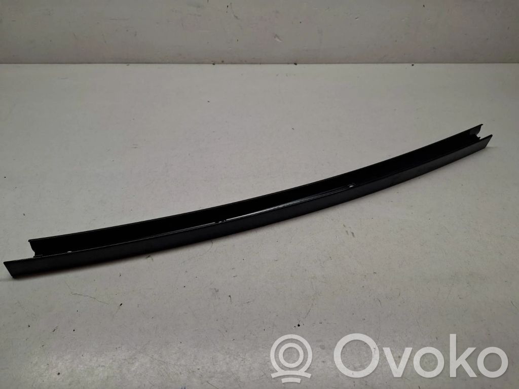 BMW X3 G01 Rear door glass trim molding 