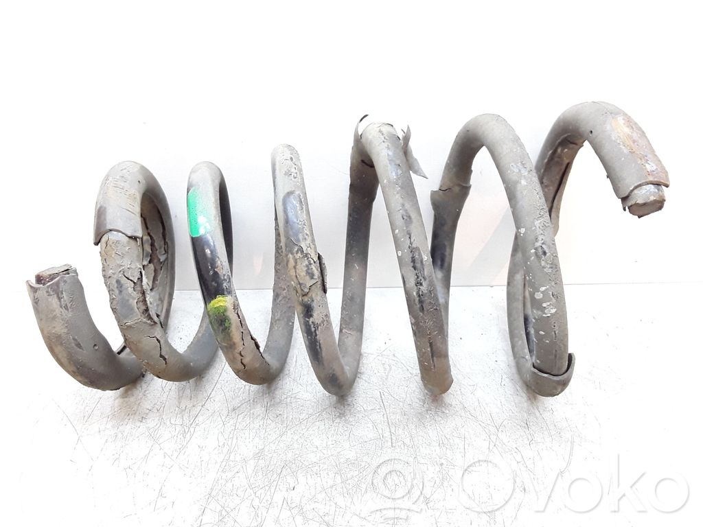 Rear coil spring