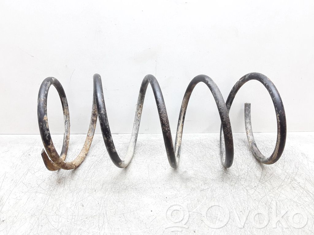 Front coil spring