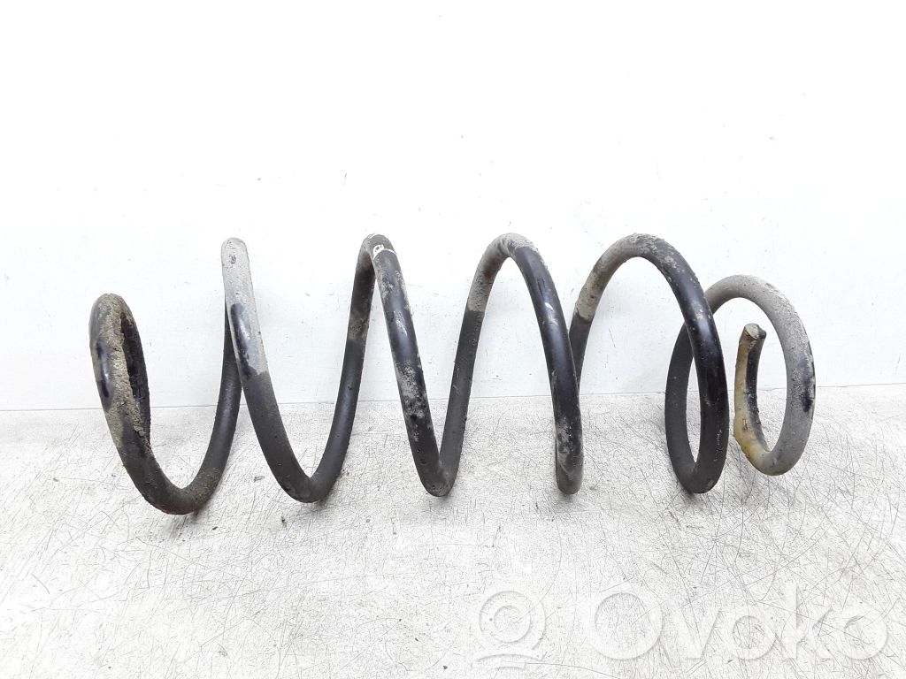 Front coil spring