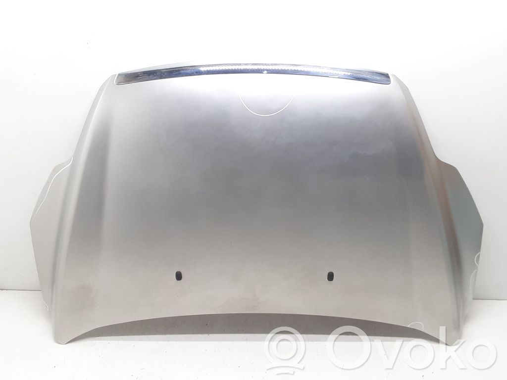 Engine bonnet/hood