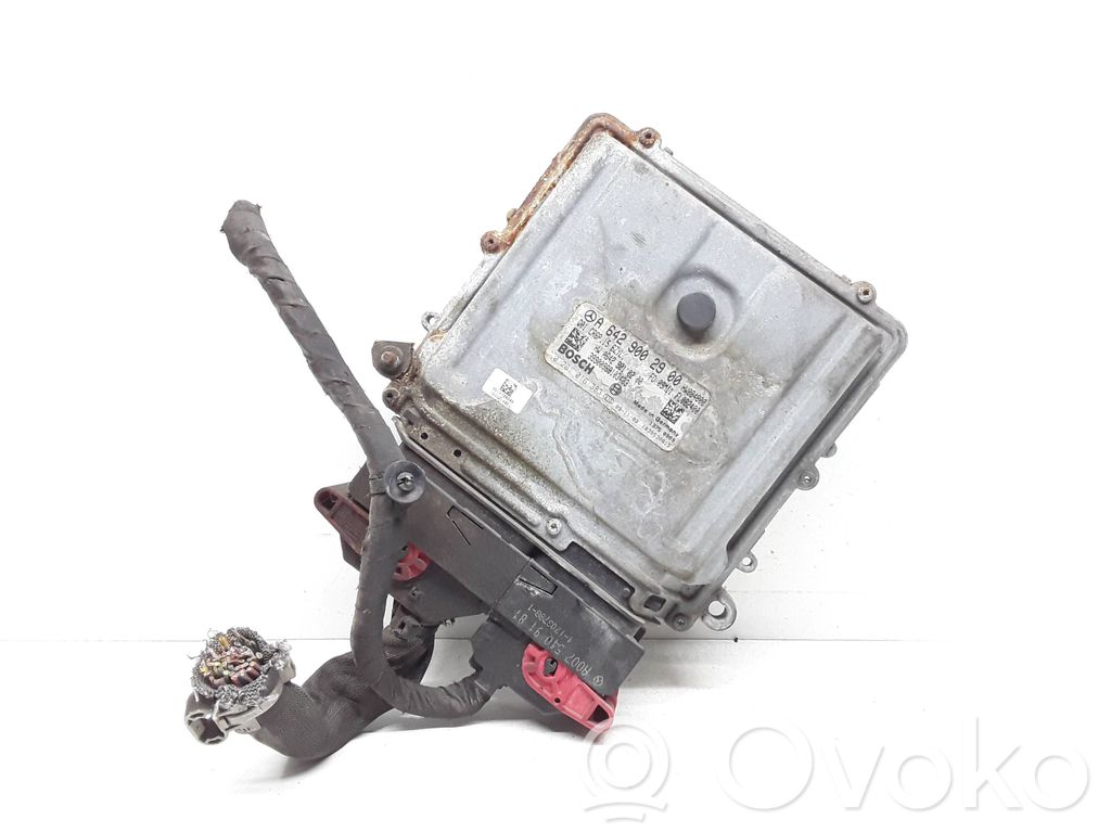 Engine control unit/module   A6429002900,A6429010200,0281016383