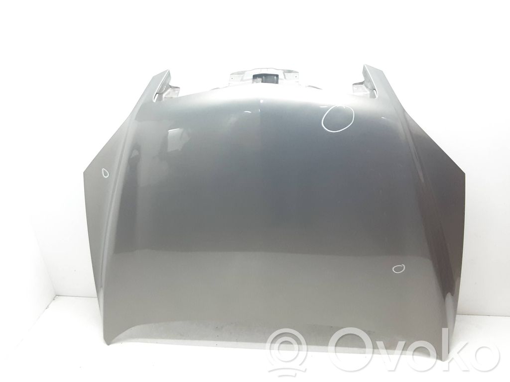 Motorhaube