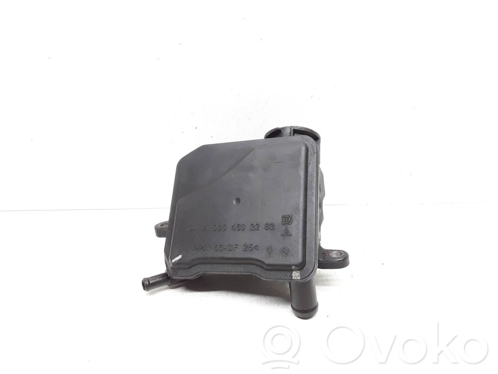 Mercedes-Benz R W251 Serbatoio/vaschetta del liquido del servosterzo