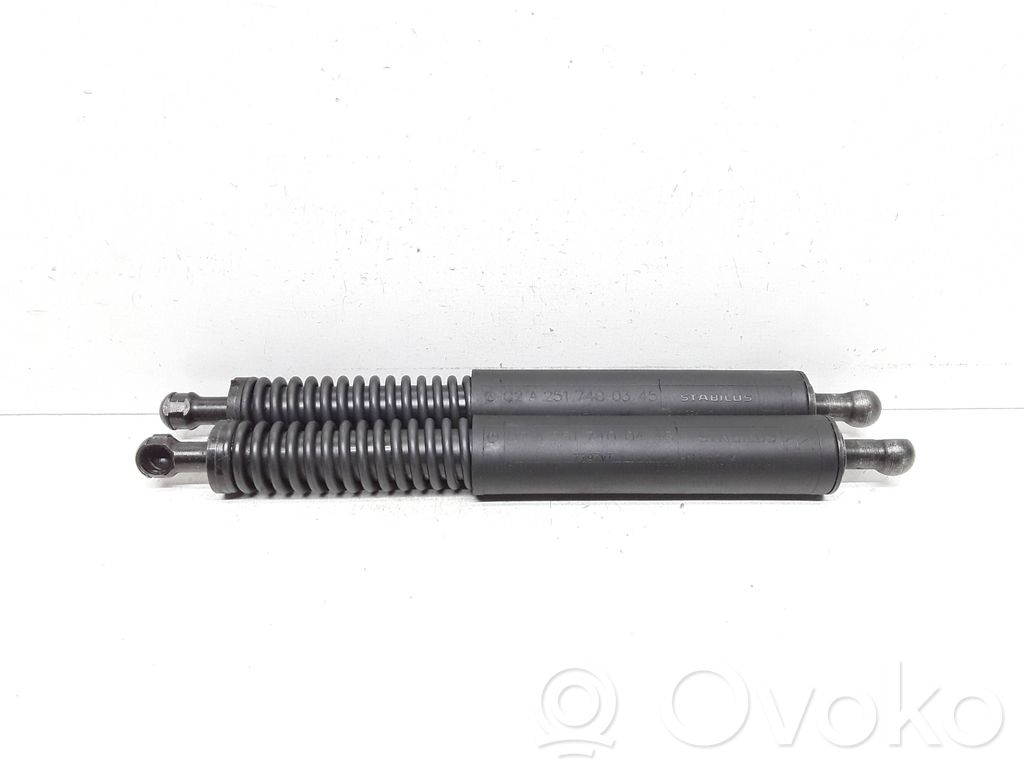 Mercedes-Benz R W251 Ammortizzatore portellone posteriore/bagagliaio 