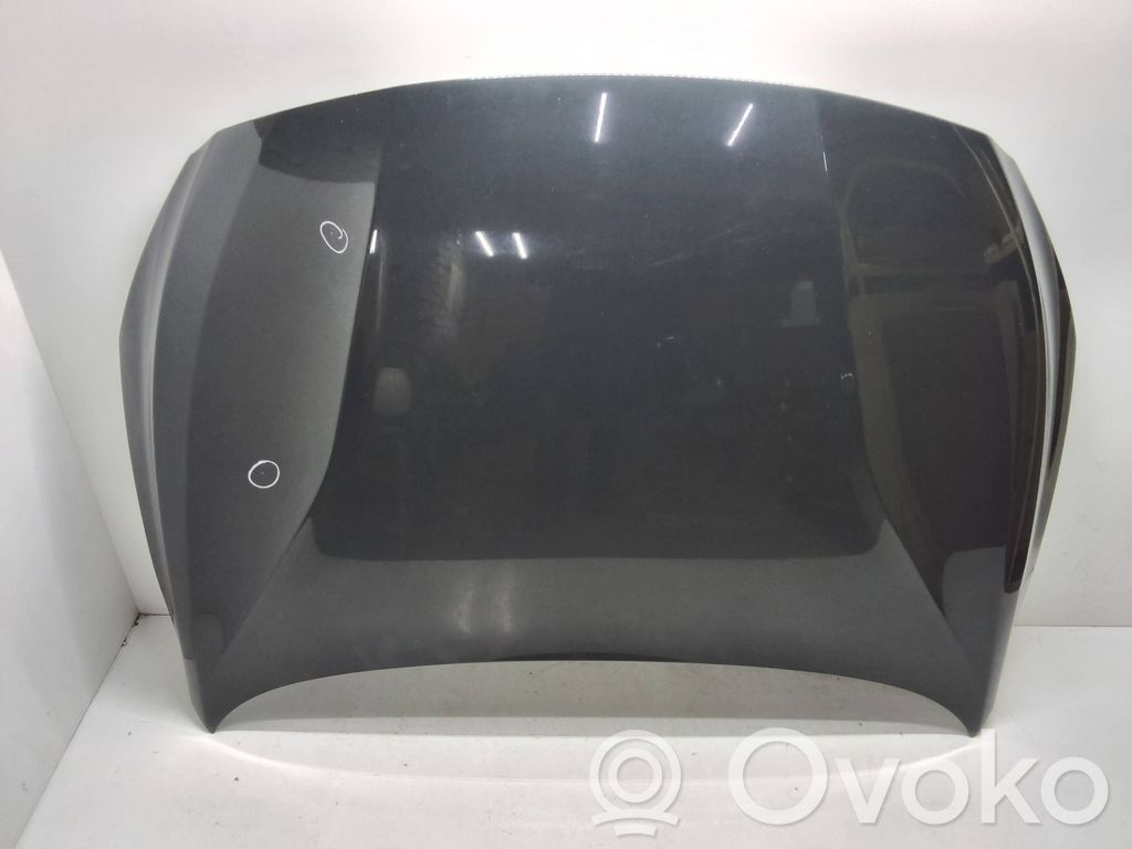 Motorhaube