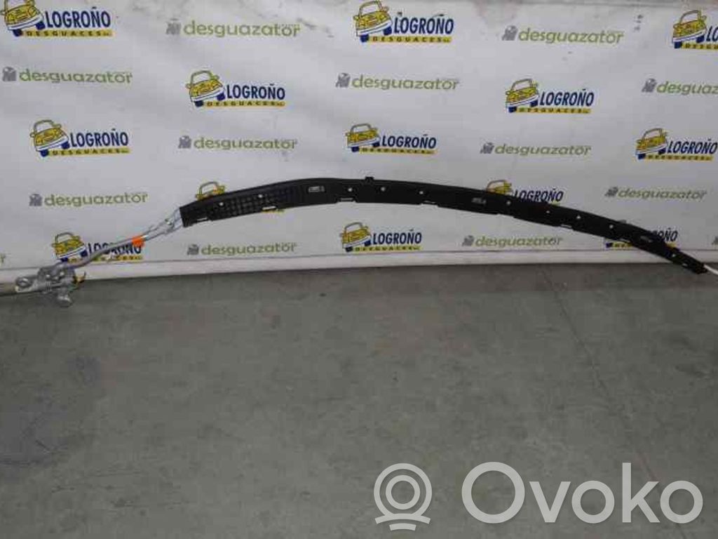 Ford Focus Kattoturvatyyny 