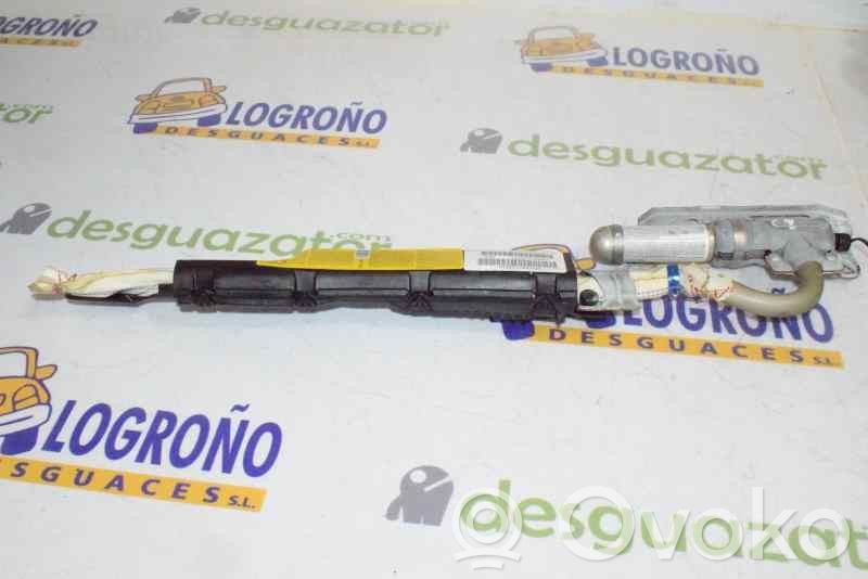 BMW X5 E53 Airbag del techo 