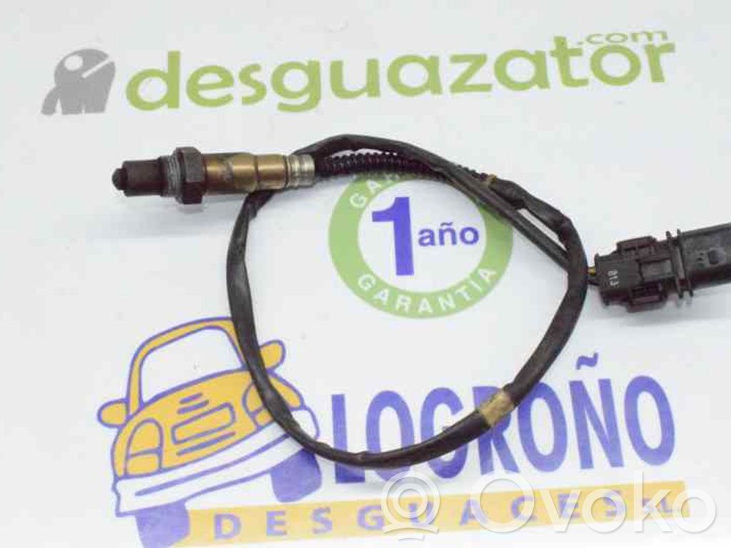 Lambda zonde   079906262L,079906262L