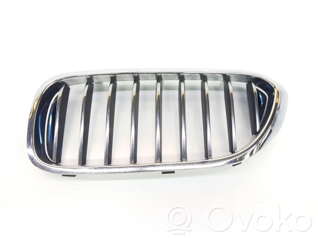BMW M5 Atrapa chłodnicy / Grill 
