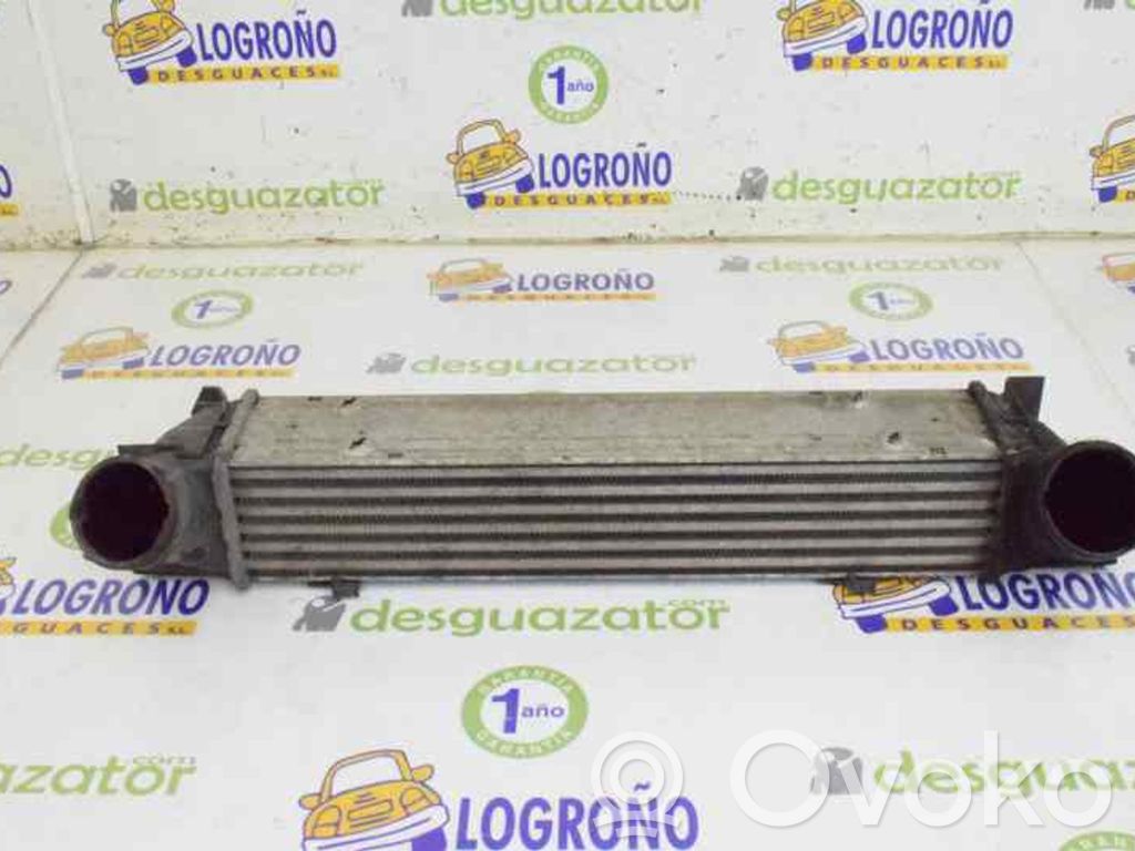 Intercooler radiator   17517524916,17517524916