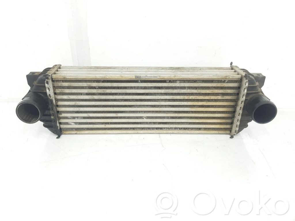 Intercooler radiator   4999282,7T169L440AE
