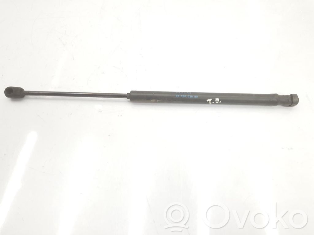 Citroen C3 Ammortizzatore portellone posteriore/bagagliaio
