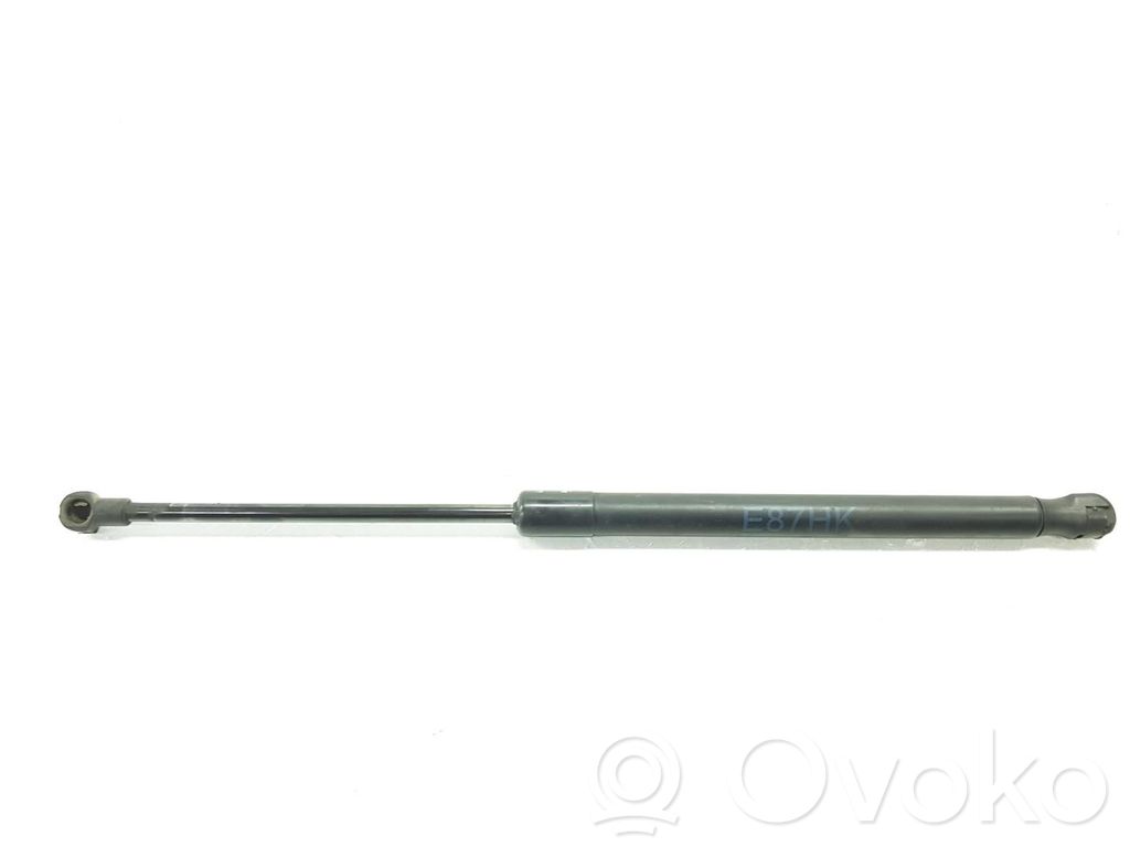 BMW 1 F20 F21 Ammortizzatore portellone posteriore/bagagliaio