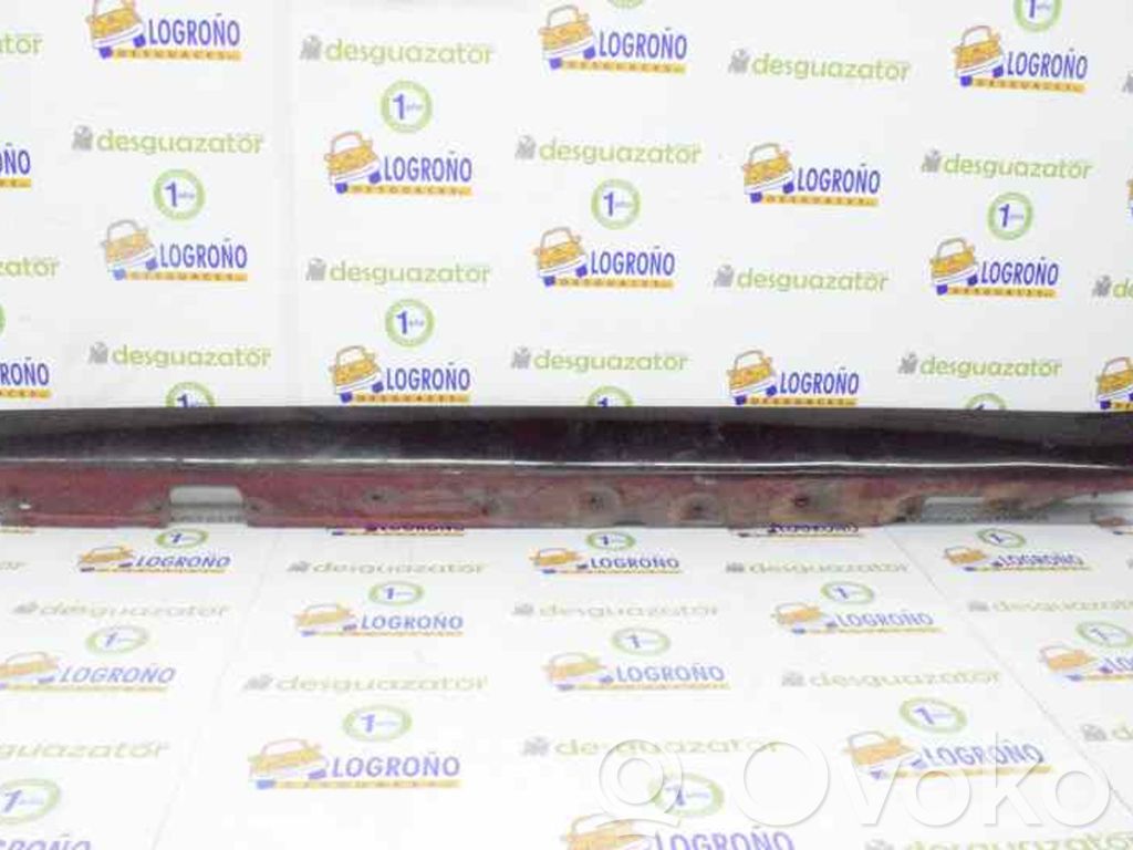 Listón   51710029243,51710029243