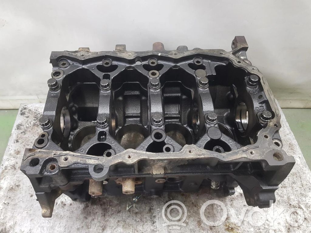 Opel Antara Engine block 