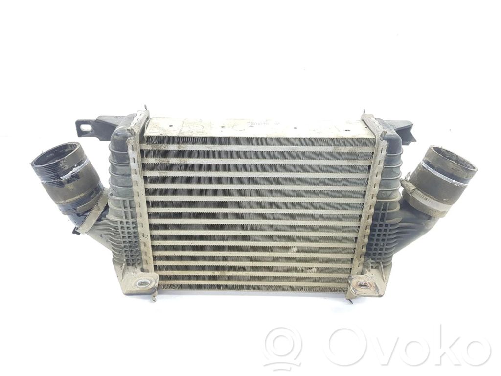 Renault Laguna III Intercooler radiator 