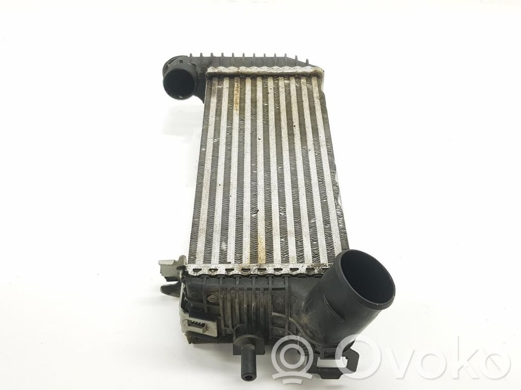 Ford Transit -  Tourneo Connect Radiator intercooler 