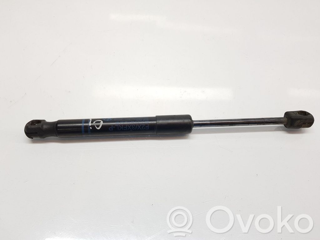 BMW M2 F87 Ammortizzatore portellone anteriore/cofano 