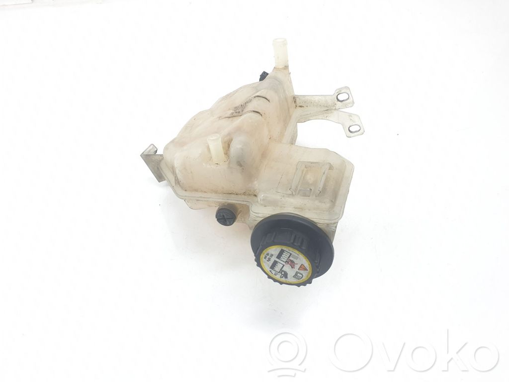 Land Rover Range Rover Sport L494 Vas expansiune/rezervor lichid de răcire 