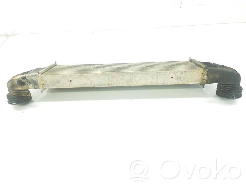 Radiatore intercooler   17517791231,17517791231