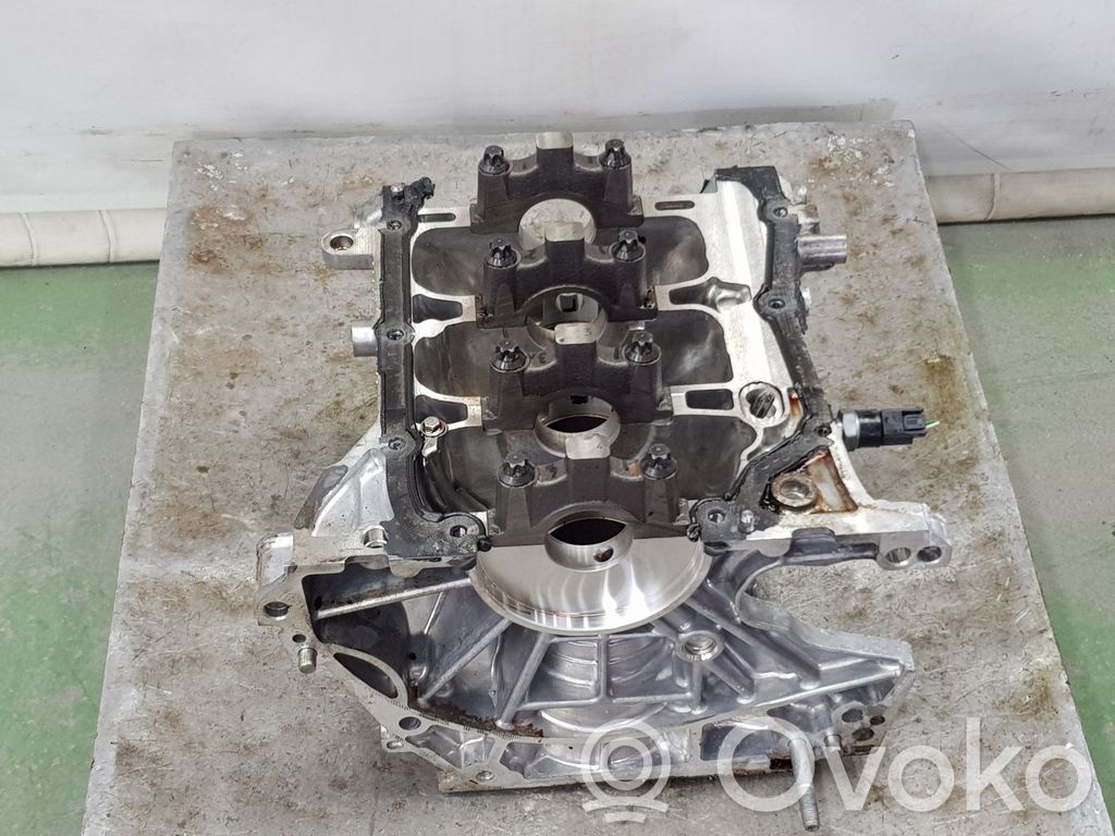Dacia Sandero Engine block 