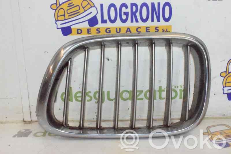 BMW X5 E53 Front grill 