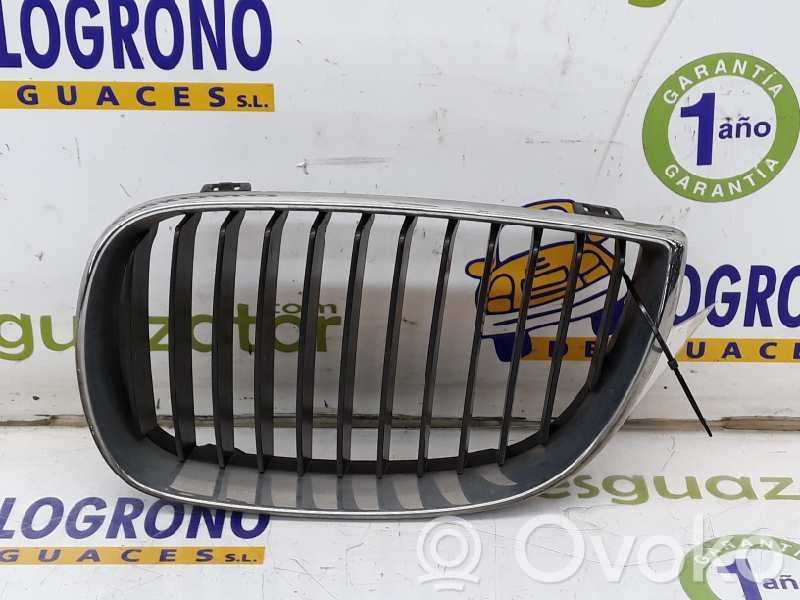 BMW 1 E81 E87 Front grill 