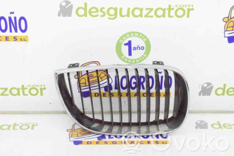 Rejilla delantera   51137077130,51137077130